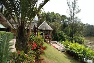 pourquoi-visiter-le-parc-national-dandasibe-mantadia-a-madagascar