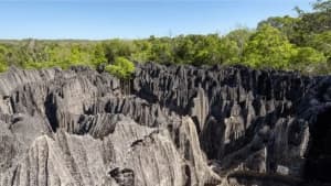 Tsingy de Bemaraha