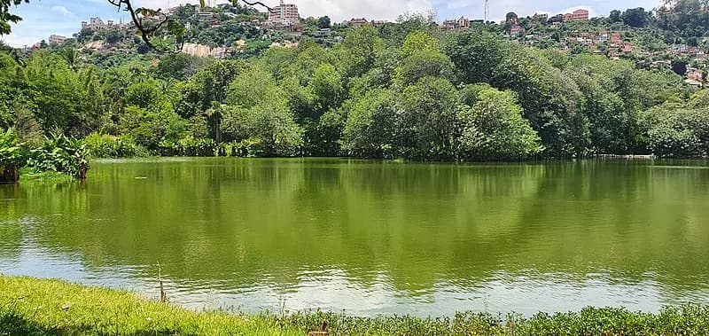 Parc zoologique Tsimbazaza