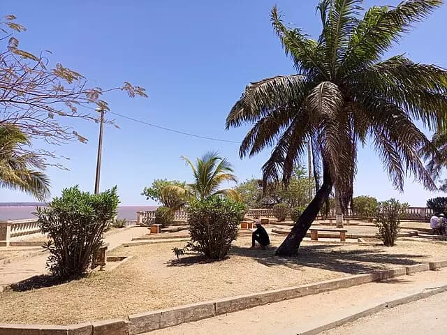 Jardin_Damour_Majunga-Madagascar